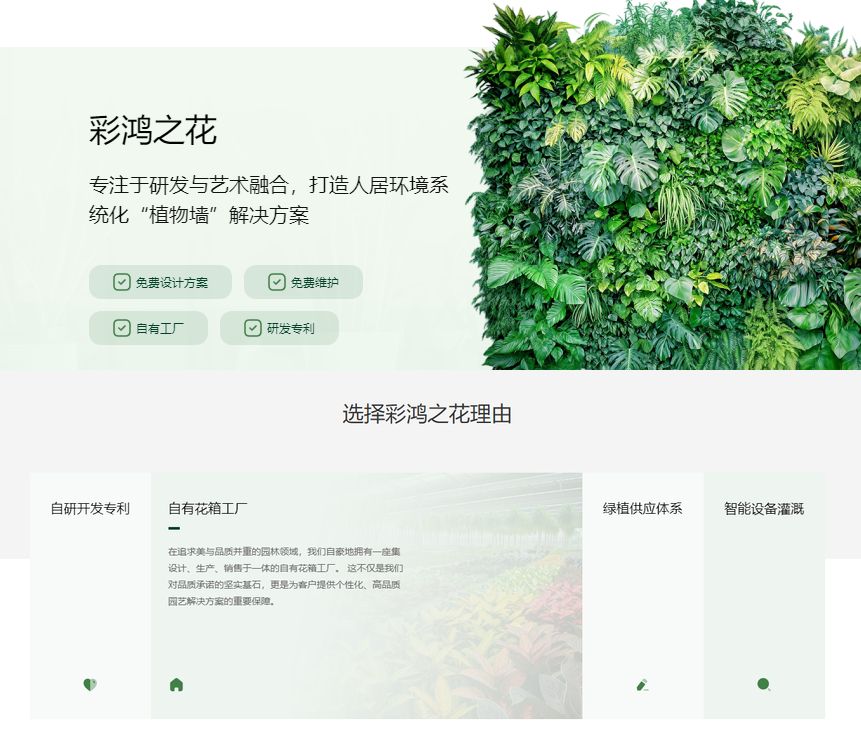 彩鸿之花如何通过天河区垂直仿生植物墙设计方案，拯救了校园的生态环境